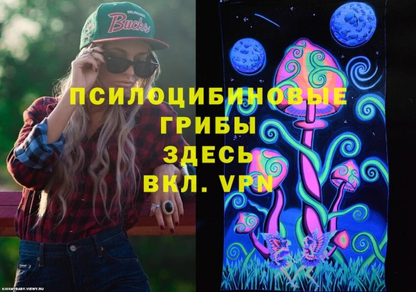 Альфа ПВП Алексеевка